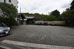 DSC_0044.jpg